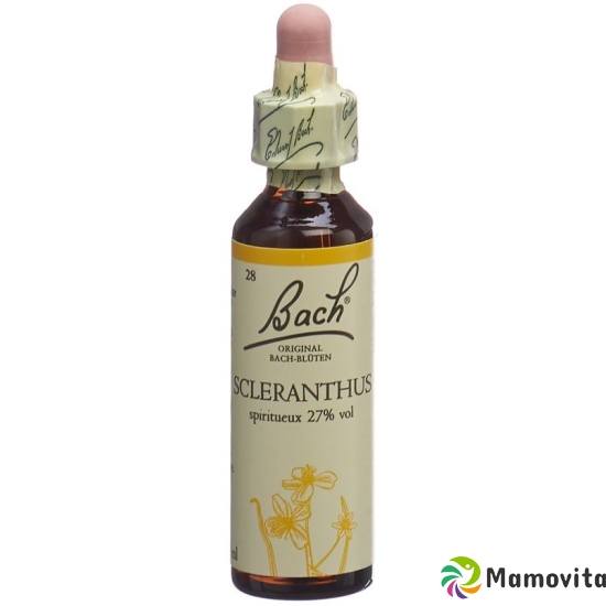 Bachblüten Scleranthus Nr. 28 Flüssig 20ml buy online