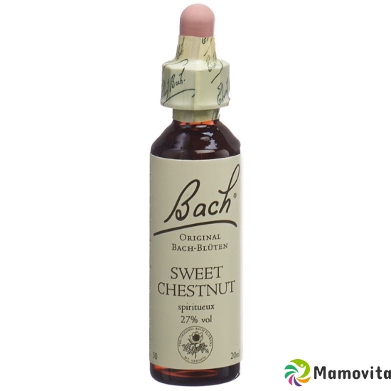 Bachblüten Sweet Chestnut Nr. 30 Flüssig 20ml buy online