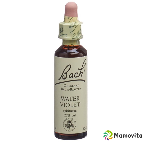 Bachblüten Water Violet Nr. 34 Flüssig 20ml buy online