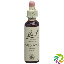 Bachblüten Wild Rose Nr. 37 Flüssig 20ml