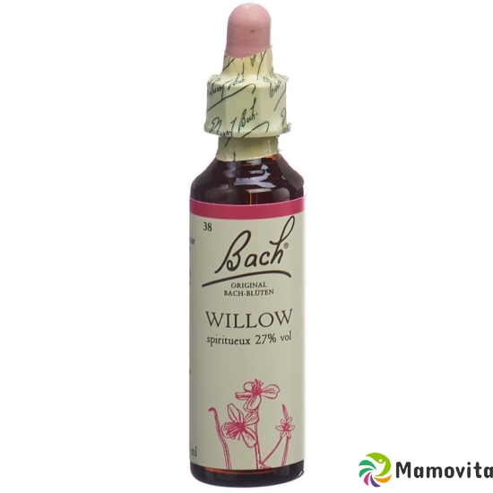 Bachblüten Willow Nr. 38 Flüssig 20ml buy online