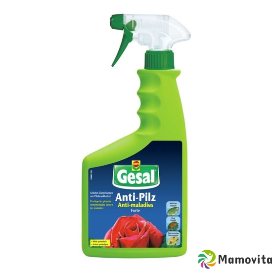 Gesal Anti Pilz Forte Spray 750ml buy online