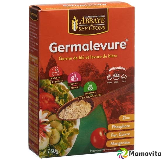 Germalevure Bierhefe Weizenkeime Pulver 250g buy online