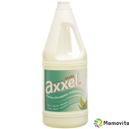 Axxel Javel Flüssig 2in1 Eukalyptus Flasche 2L buy online