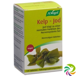 Kelp-Jod 120 Tabletten