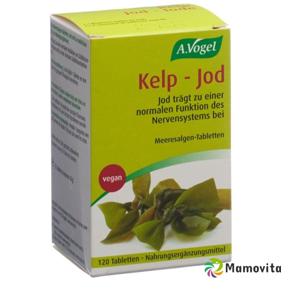 Kelp-Jod 120 Tabletten buy online