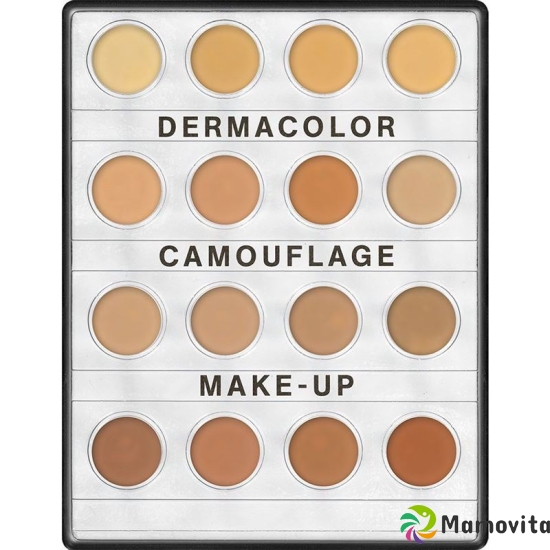 Dermacolor Mini Palette D3 with 16 colors buy online