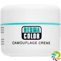 Dermacolor Camouflage Creme D1 Dose 4ml