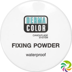 Dermacolor Fixierpuder P1 Dose 60g