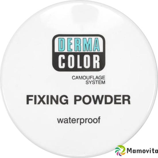 Dermacolor Fixierpuder P2 Dose 60g buy online