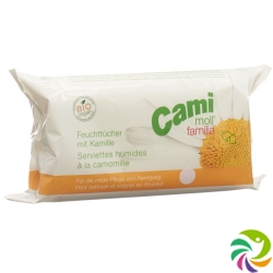 Cami Moll Familia Wet Wipes Softpack 72 pcs