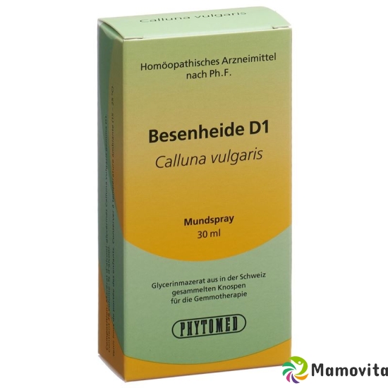 Phytomed Gemmo Besenheide Liquid D 1 30ml buy online