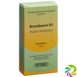 Phytomed Gemmo Brombeere Liquid D 1 30ml