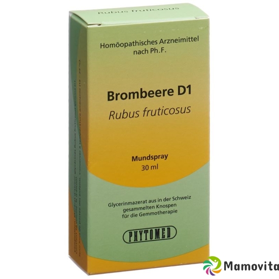 Phytomed Gemmo Brombeere Liquid D 1 30ml buy online