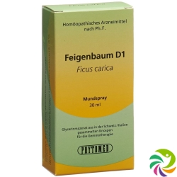 Phytomed Gemmo Feigenbaum Liquid D 1 30ml