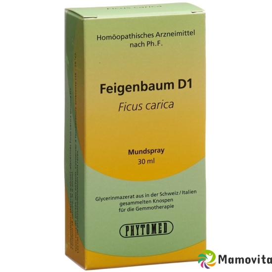 Phytomed Gemmo Feigenbaum Liquid D 1 30ml buy online