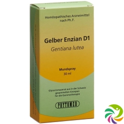 Phytomed Gemmo Gelber Enzian Liquid D 1 30ml