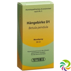 Phytomed Gemmo Haengebirke Liquid D 1 30ml