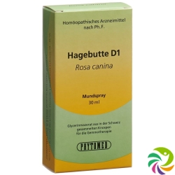 Phytomed Gemmo Hagebutte Liquid D 1 30ml