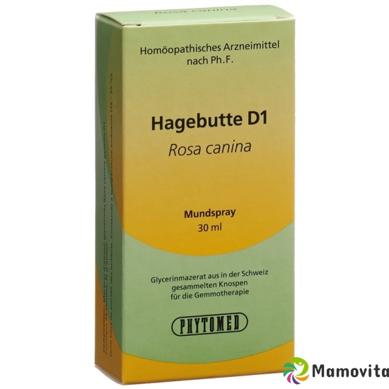 Phytomed Gemmo Hagebutte Liquid D 1 30ml buy online