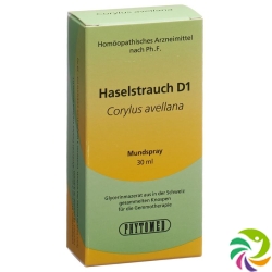 Phytomed Gemmo Haselstrauch Liquid D 1 30ml