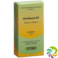 Phytomed Gemmo Himbeere Liquid D 1 30ml