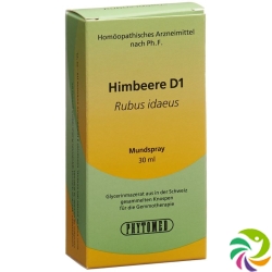 Phytomed Gemmo Himbeere Liquid D 1 30ml