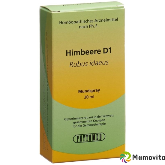 Phytomed Gemmo Himbeere Liquid D 1 30ml buy online