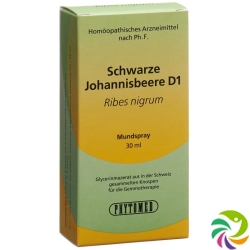 Phytomed Gemmo Schwarze Johannisbeere D 1 30ml