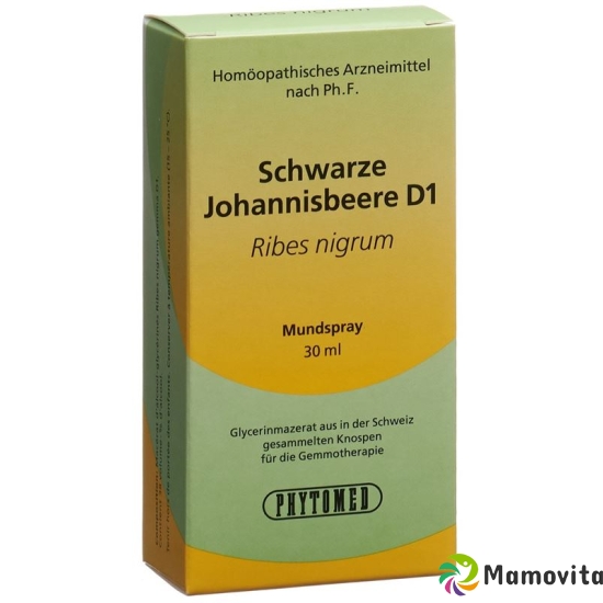 Phytomed Gemmo Schwarze Johannisbeere D 1 30ml buy online