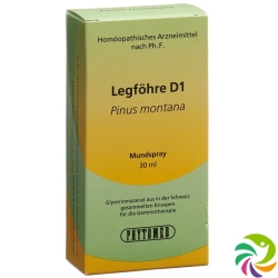 Phytomed Gemmo Legfoehre Liquid D 1 30ml