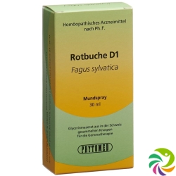 Phytomed Gemmo Rotbuche Liquid D 1 30ml