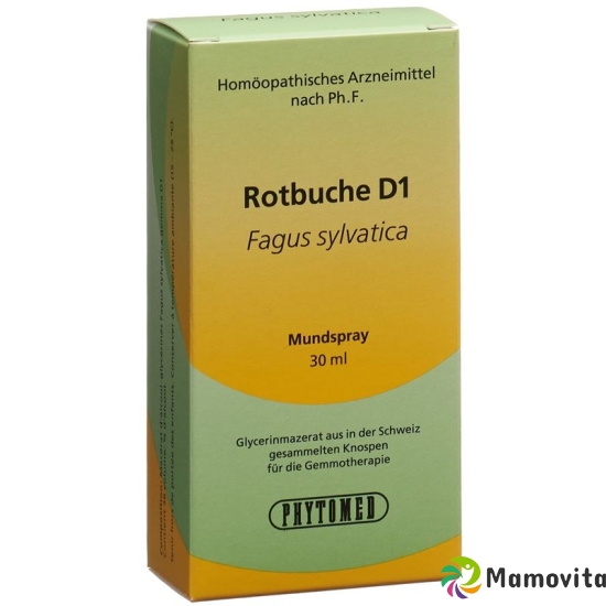 Phytomed Gemmo Rotbuche Liquid D 1 30ml buy online