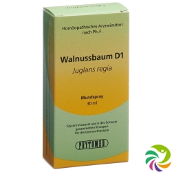 Phytomed Gemmo Walnussbaum Liquid D 1 30ml