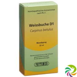 Phytomed Gemmo Weissbuche Liquid D 1 30ml