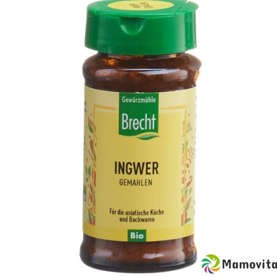 Brecht Ingwer Gemahlen Bio Glas 25g buy online