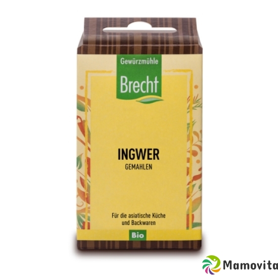 Brecht Ingwer Gemahlen Bio Ref Beutel 25g buy online