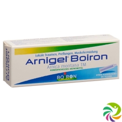 Arnigel Boiron Gel Tube 45g