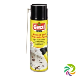 Gesal Ameisen & Ungeziefer Spray 500ml