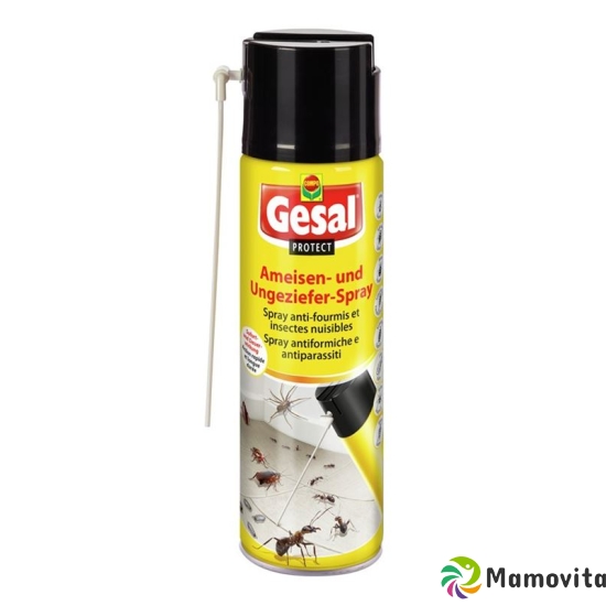 Gesal Ameisen & Ungeziefer Spray 500ml buy online