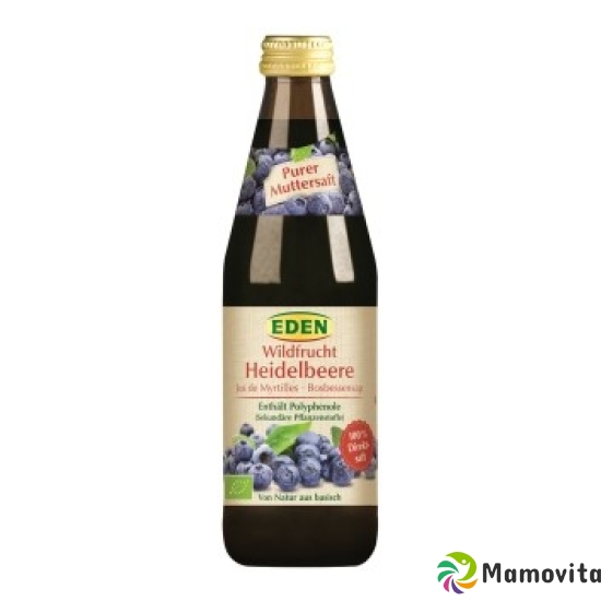 Eden Heidelbeer Muttersaft ohne Zucker Pur Bio 330ml buy online