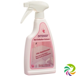 Intensif Bad Entkalker Schaum Liquid 500g