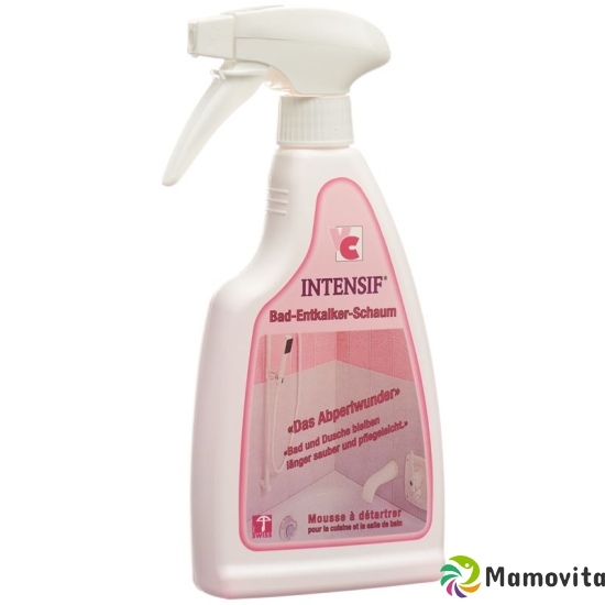 Intensif Bad Entkalker Schaum Liquid 500g buy online