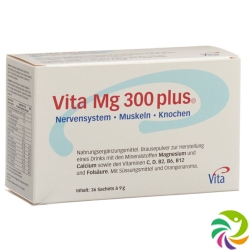 Vita Mg 300 Plus Orangenaroma 36x7.9g