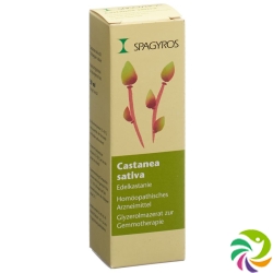 Spagyros Gemmo Castanea Sativa Glyc Maz D 1 30ml