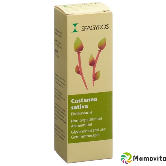 Spagyros Gemmo Castanea Sativa Glyc Maz D 1 30ml buy online