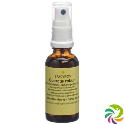 Spagyros Gemmo Quercus Robur Glyc Maz D 1 30ml