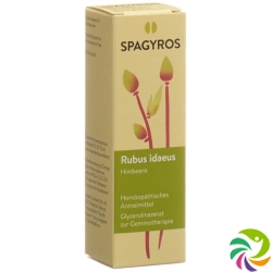 Spagyros Gemmo Rubus Ideaeus Glyc Maz D 1 30ml