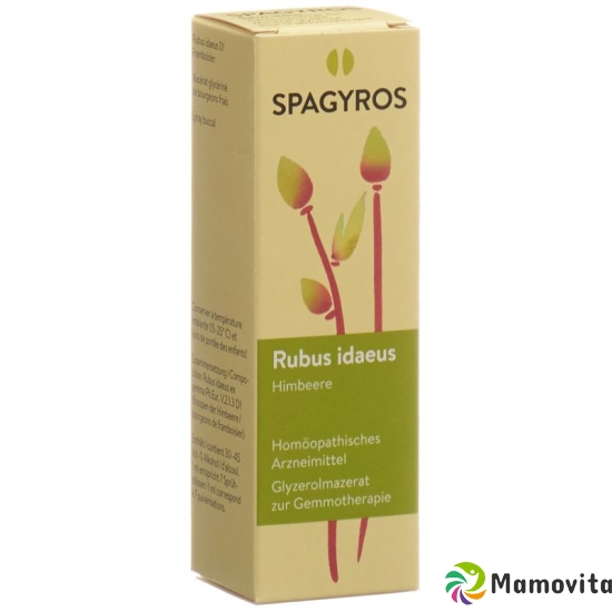 Spagyros Gemmo Rubus Ideaeus Glyc Maz D 1 30ml buy online