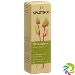 Spagyros Gemmo Ulmus Minor Glyc Maz D 1 30ml